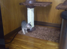 2012-05-23_12-11-59