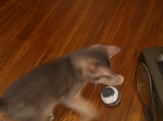 2012-05-23_12-28-30