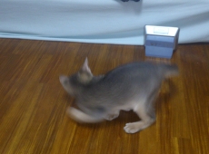 2012-05-23_12-28-36