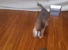 2012-05-23_12-28-39