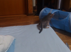2012-05-23_13-10-28