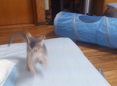 2012-05-23_13-10-42