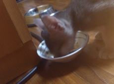 2012-05-24_19-20-17