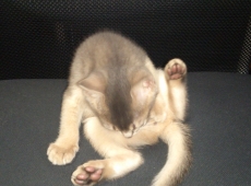 2012-05-26_09-41-14