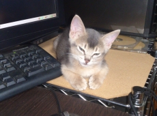 2012-05-26_22-03-13