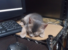 2012-05-26_22-07-19