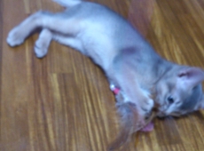 2012-05-28_13-27-54