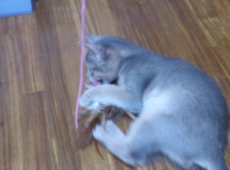 2012-05-28_13-31-01