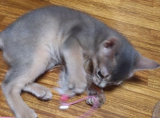 2012-05-28_13-31-42