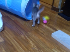 2012-05-28_13-35-04