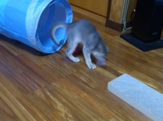 2012-05-28_13-35-08