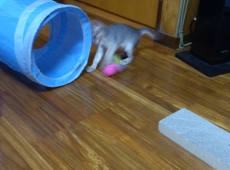 2012-05-28_13-35-11