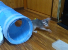2012-05-28_13-35-15