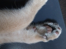 2012-05-28_17-33-54
