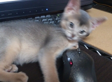 2012-05-28_18-18-27