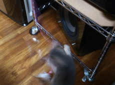 2012-05-28_23-46-42