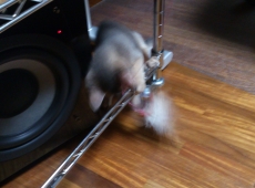2012-05-28_23-53-43