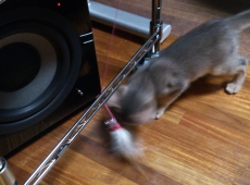 2012-05-28_23-53-51