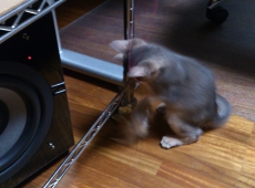 2012-05-28_23-54-04