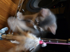 2012-05-29_01-19-36