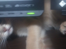2012-05-31_02-08-20