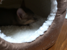 2012-06-09_21-48-09