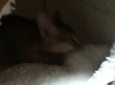 2012-06-09_21-49-07