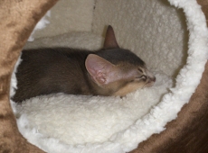 2012-06-09_21-49-51