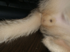 2012-06-11_00-56-43