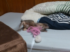 2012-06-23_19-58-31