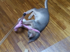 2012-06-23_19-59-13