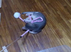 2012-06-23_19-59-32