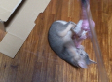 2012-06-23_20-02-55