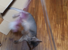 2012-06-23_20-02-57