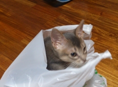 2012-06-24_00-27-28