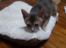 2012-06-27_03-07-57