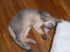 2012-06-28_23-07-58