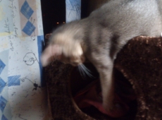 2012-07-03_02-32-43