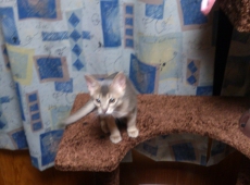 2012-07-03_02-33-36