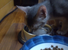 2012-07-06_00-58-53