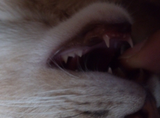 2012-07-06_01-32-31