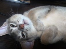 2012-07-06_01-47-06
