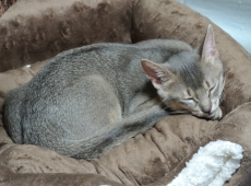 2012-07-15_03-37-41