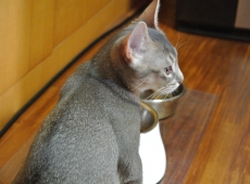 2012-07-15_15-36-18