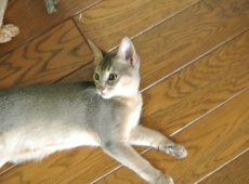 2012-07-15_15-47-22