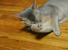 2012-07-16_04-42-16