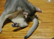 2012-07-16_04-43-06