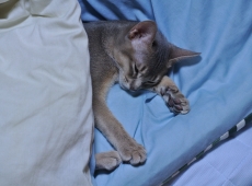 2012-07-18_21-49-03