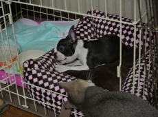 2012-07-21_22-03-13