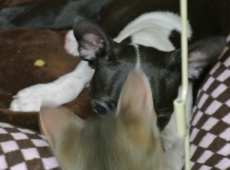 2012-07-21_22-03-36